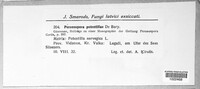 Image Associated With the Occurence